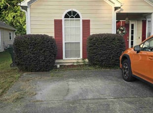 Bush Trimming by Russell Monroe for Sam M. in Pelham, AL