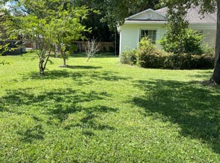 Anibal D.'s Lawn Service service result