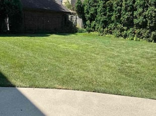 Chris N.'s Grass Cutting service result
