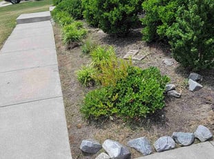 Weeding by Charlie Burns for Josh S. in Suffolk, VA