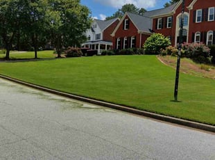 Nancy T.'s Lawn Care service result