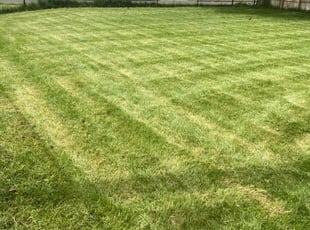 Todd J.'s Lawn Care service result