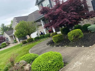 Bush Trimming by Tefel Rivera for Rajesh P. in Strongsville, OH