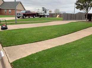 Torey V.'s Lawn Mowing Service service result