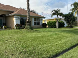 Yudisay C.'s Lawn Service service result
