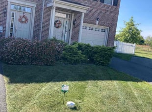 Kate & Dave S.'s Lawn Mowing Service service result