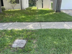 Ted W.'s Lawn Service service result