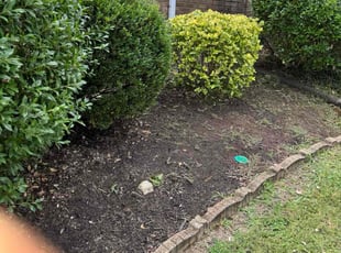 Weeding by Armando J for Teona B. in Lawrenceville, GA