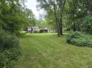 Michael M.'s Lawn Service service result