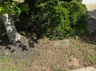 Bush Trimming by Tevin Cofield for Loretta L. in Holly Springs, NC