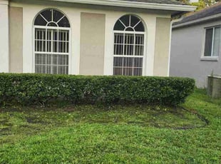 Bush Trimming by Wayne Poole for Tabitha N. in Orlando, FL