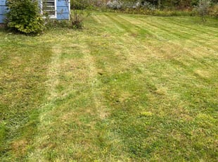 Krista F.'s Lawn Mowing Service service result