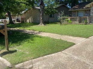 Tierra R.'s Lawn Mowing service result