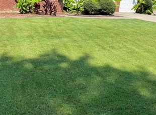 Christina L.'s Lawn Care service result
