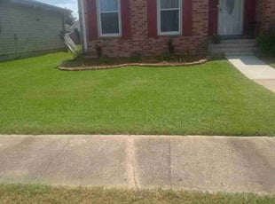 Amy G.'s Yard Cutting service result