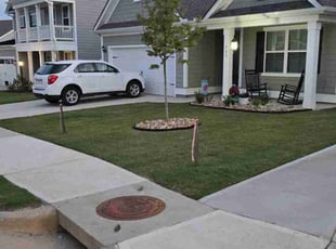 Kenneth B.'s Yard Cutting service result