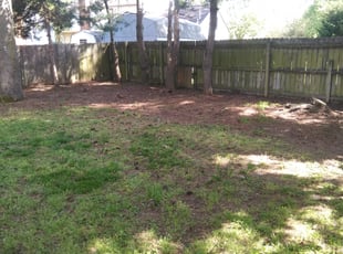 Leaf Removal by Reuben Bradley for Mark L. in Virginia Beach, VA