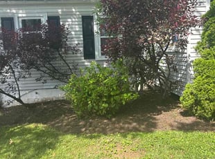Cleanups by candelario castillo for Meghan Y. in Falls Church, VA