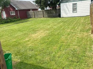 Erin J.'s Lawn Service service result