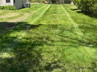 Connie M.'s Lawn Mowing service result