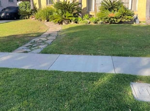 Huong D.'s Lawn Service service result