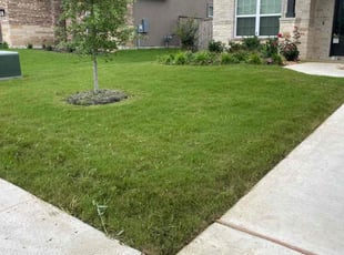 Kofi P.'s Lawn Care service result
