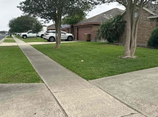 Jackie L.'s Lawn Service service result