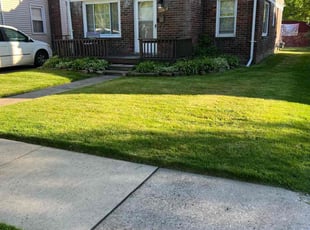 Antonia J.'s Lawn Maintenance service result