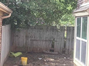 Cleanups by Rhett Lambas for Aubrie C. in Lewisville, TX