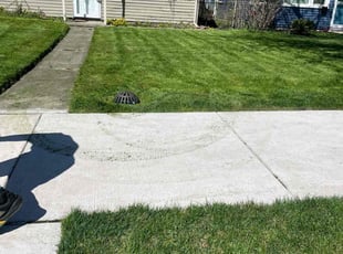 William C.'s Lawn Mowing service result