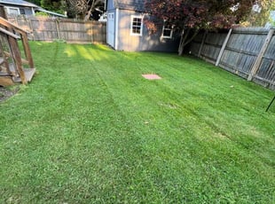 Joe M.'s Lawn Care service result