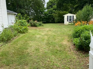 Bush Trimming by Fernando Ramirez for Miranda Y. in Rochester, NY