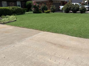 Brandy M.'s Yard Cutting service result