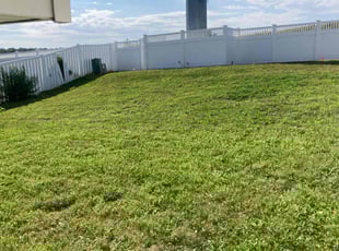 Trina A.'s Lawn Mowing Service service result