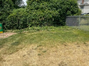 Bush Trimming by Ted Reimel for Malika E. in Maple Shade, NJ