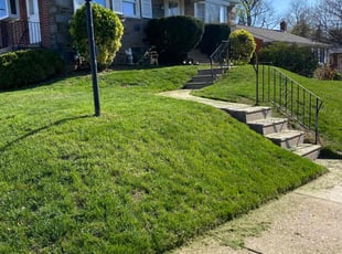Paul F.'s Lawn Service service result