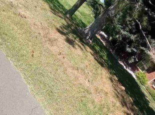 Leaf Removal by Jacques Chauvin for Melisa K. in Centennial, CO