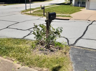 Cleanups by Dylan Carver for Julie B. in Ballwin, MO