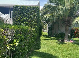 Nelson V.'s Lawn Service service result