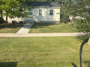 Nicole S.'s Lawn Care service result