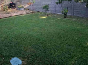 Melissa S.'s Lawn Care service result