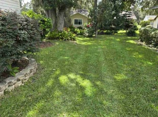 Jill S.'s Lawn Maintenance service result