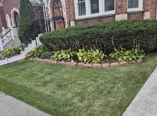 Lynn S.'s Lawn Care service result