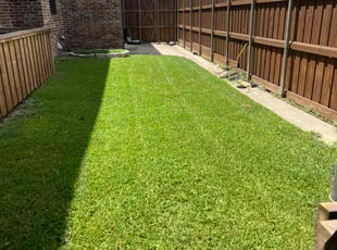 Yvonne M.'s Lawn Mowing service result