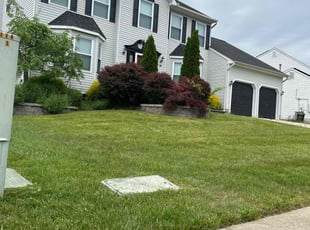 Rebecca F.'s Lawn Mowing service result
