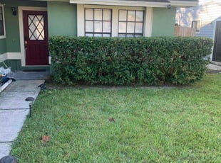Bush Trimming by Hector Mieles for Hattie H. in Orlando, FL