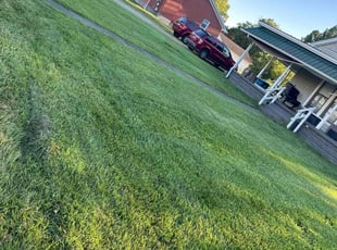 David B.'s Yard Cutting service result
