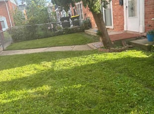 James G.'s Yard Cutting service result