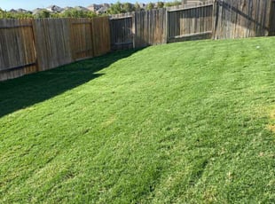 Michael W.'s Lawn Care service result