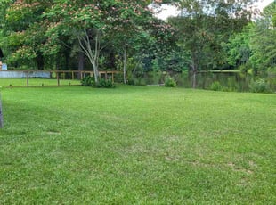 Jeff B.'s Lawn Service service result